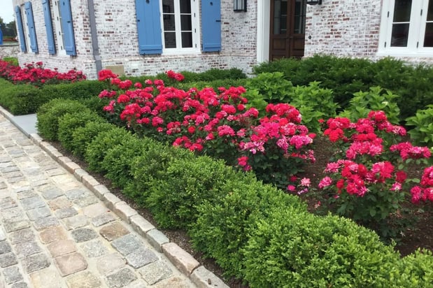 Images DaPonte's Landscaping Services