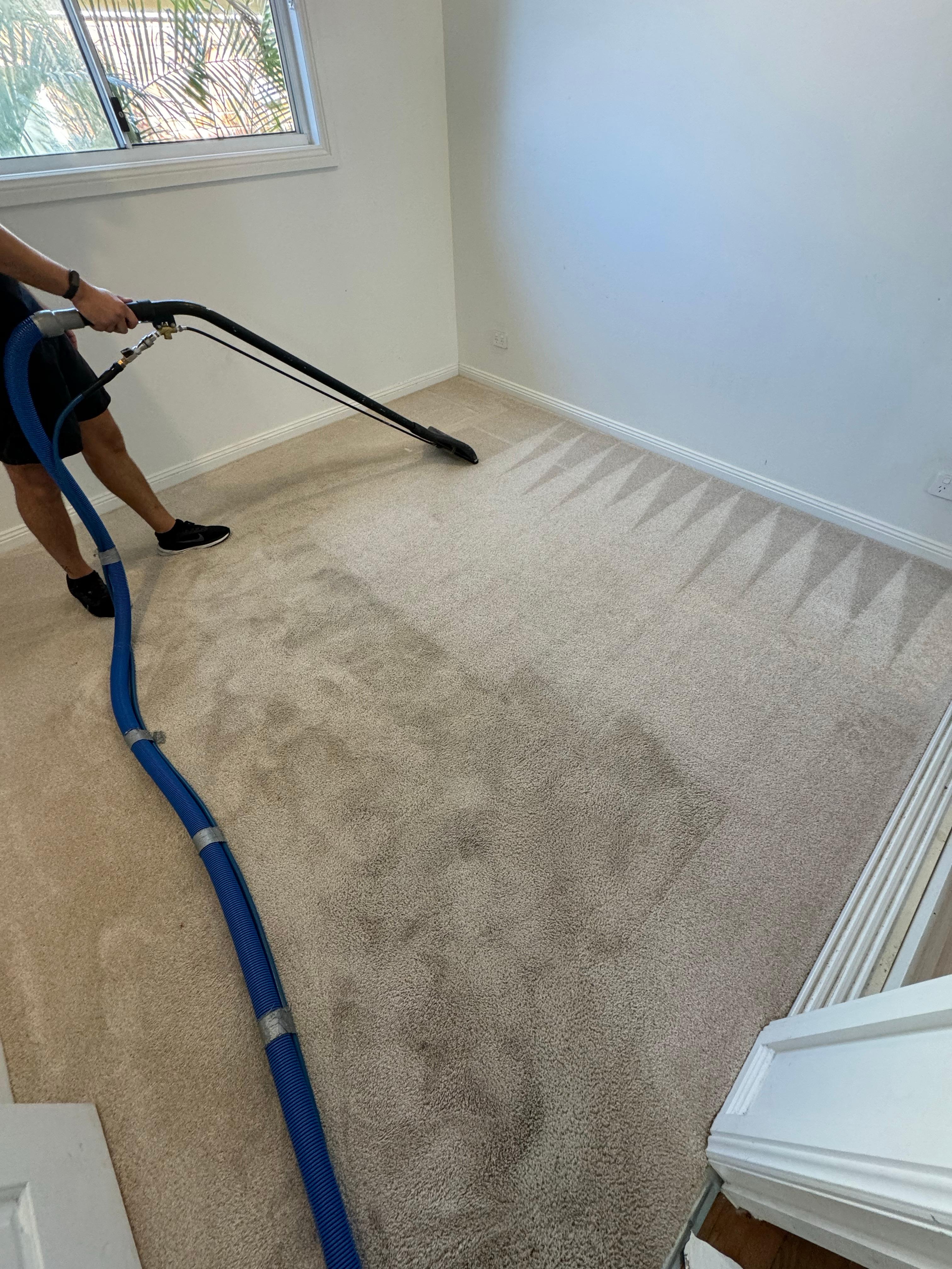 Images Eco Carpet Cleaning Gold Coast