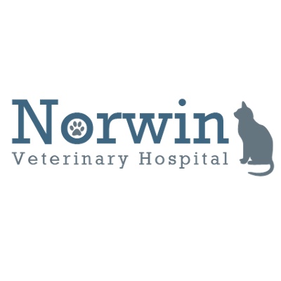 Norwin Pet Hospital Logo