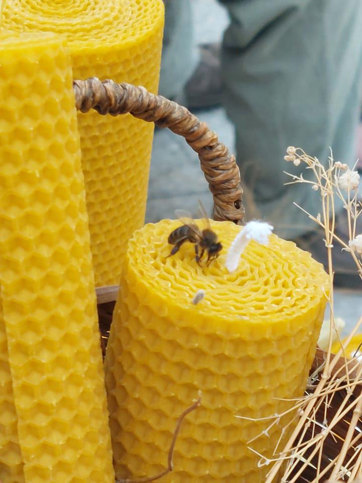 Images Las Velas de Alba