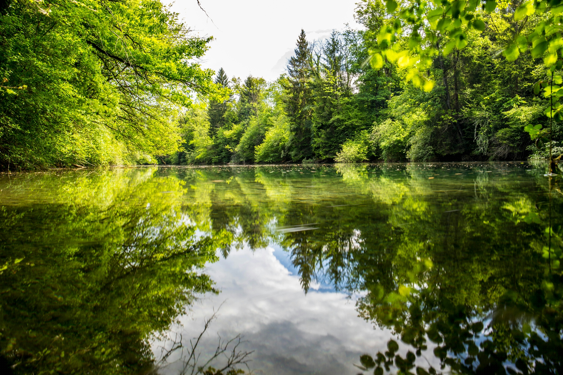 Teichbau und Gewässertechnik Matzen, Westerkoppel 5 in Dannewerk