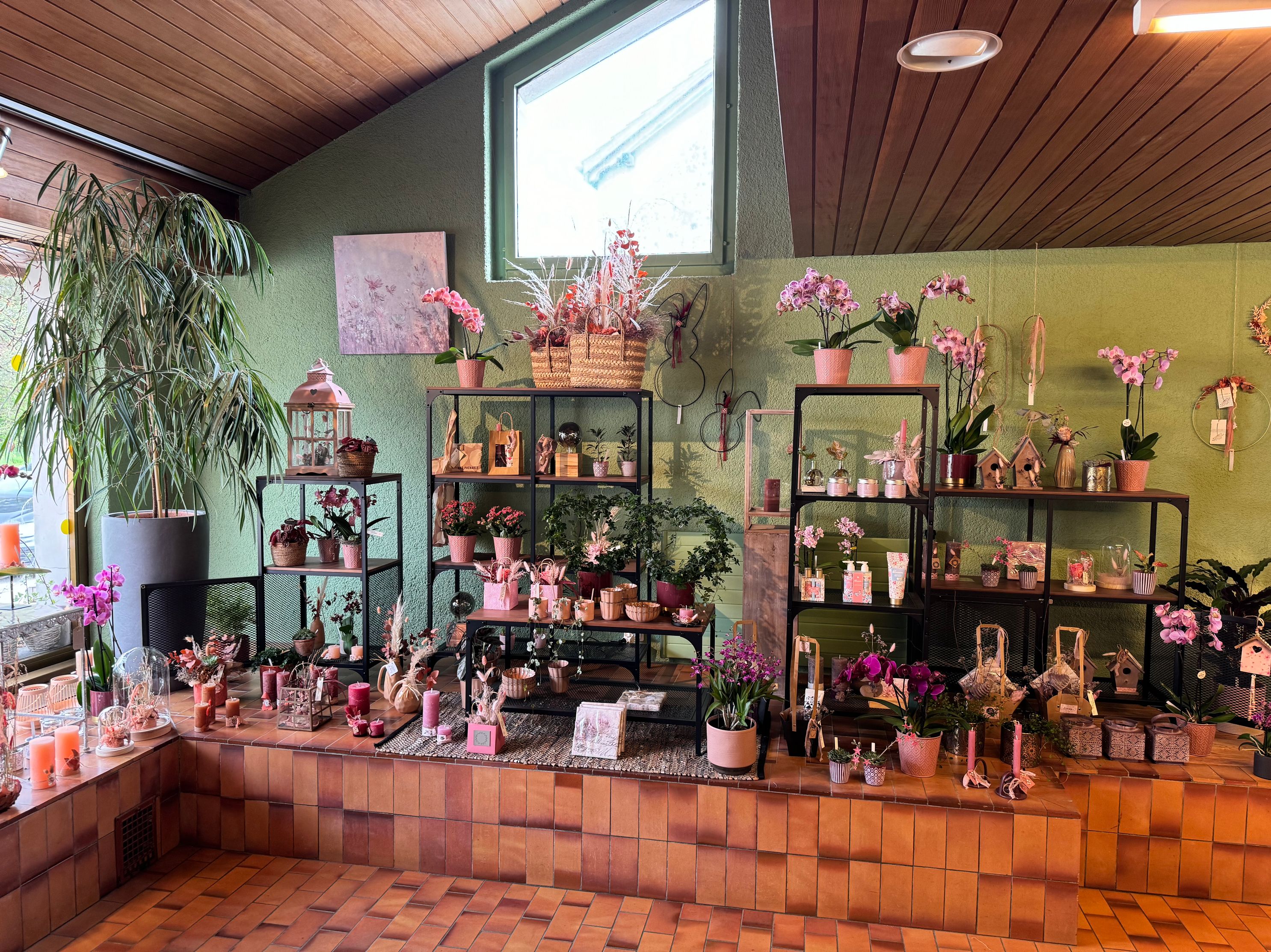 Bilder Gaëlle Fleurs Sàrl