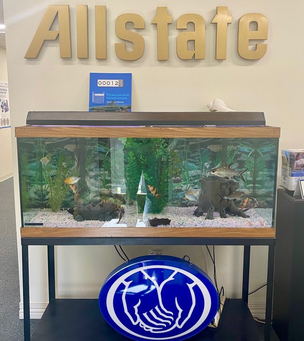 Images George A Jackson: Allstate Insurance