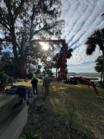 Images Magana Tree Service