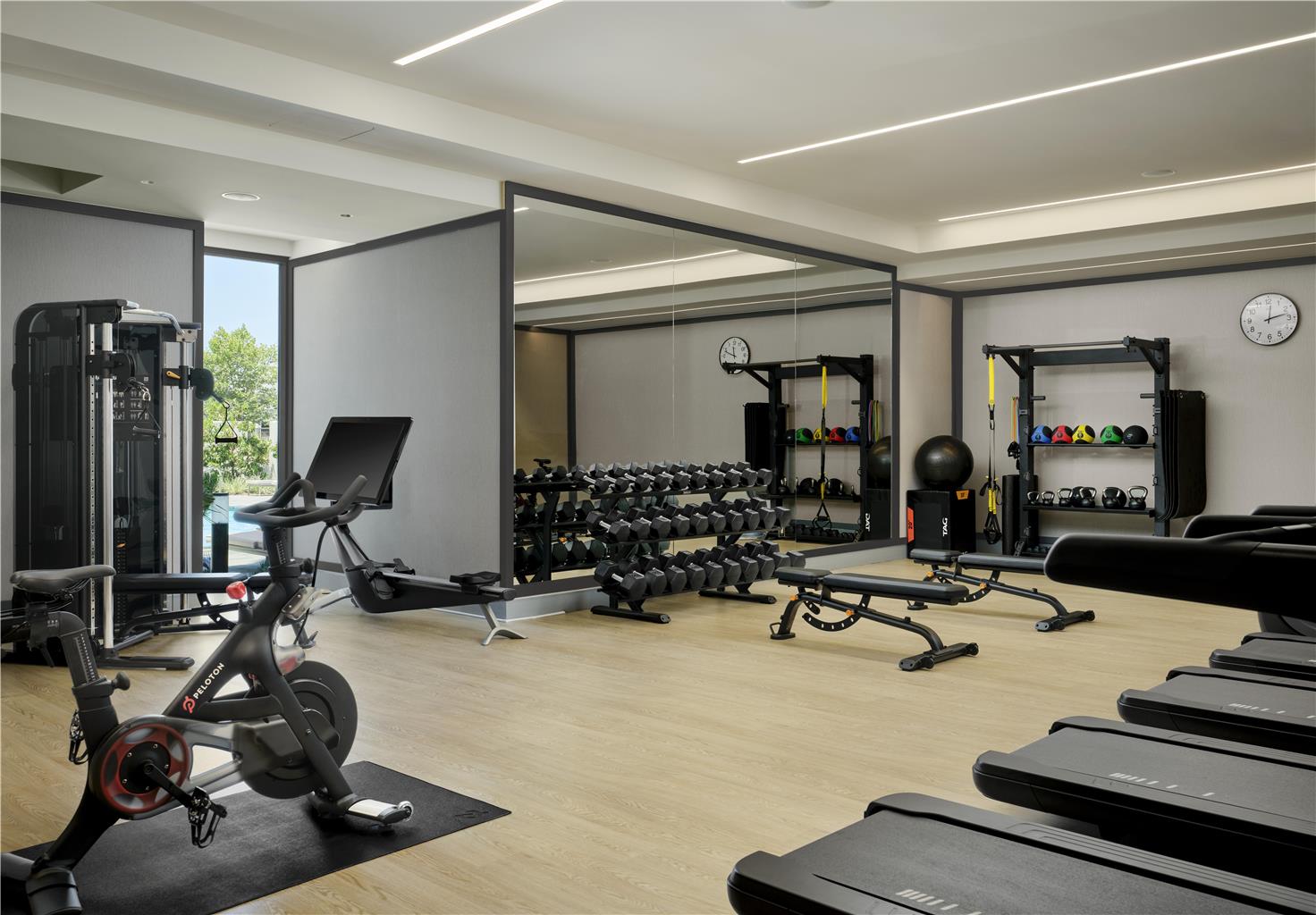 Health club  fitness center  gym 