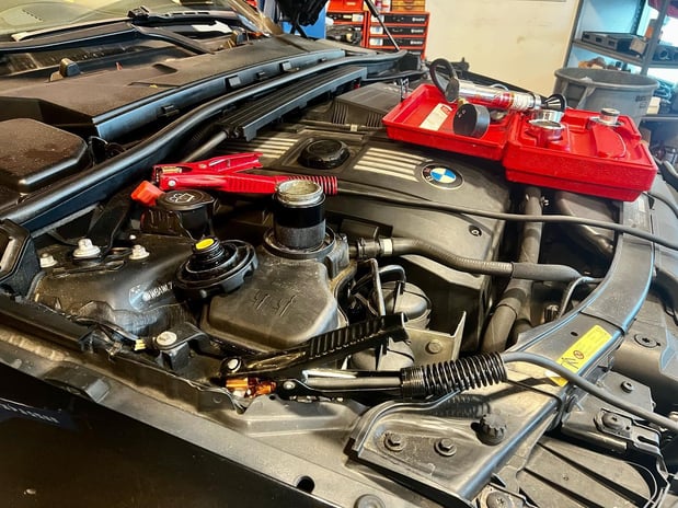 Images Loudoun County Exotics