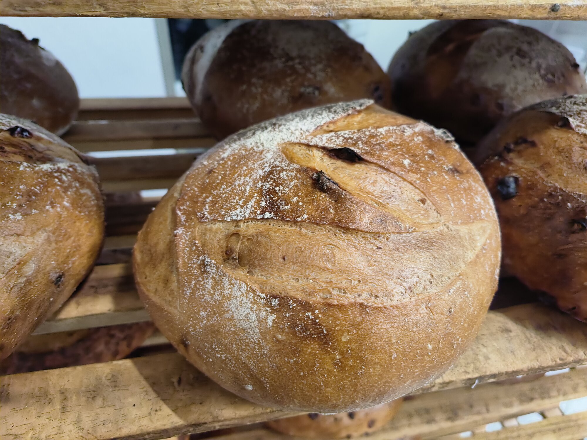 Bilder Bäckerei Tenk