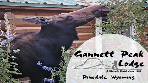 Images Gannett Peak Lodge