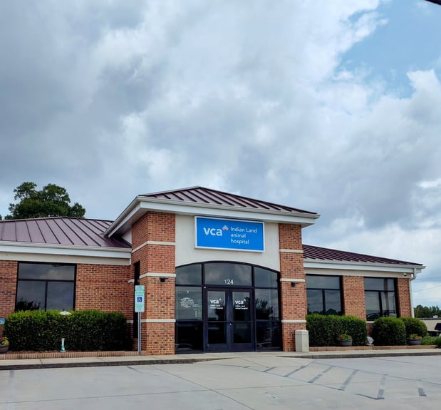 Images VCA Indian Land Animal Hospital