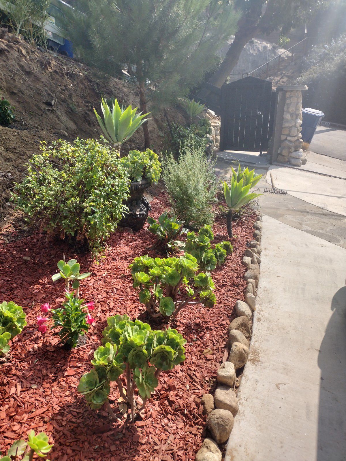 Nelson Pineda Landscaping - Planting Flowers