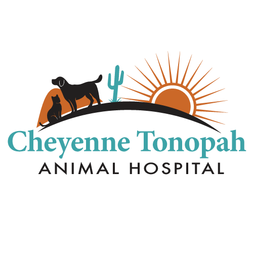 Cheyenne Tonopah Animal Hospital