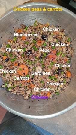 Images Koda King Natural Dog Food
