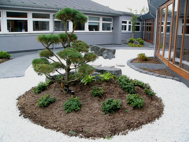 Images Skibbild Anlægsgartner A/S