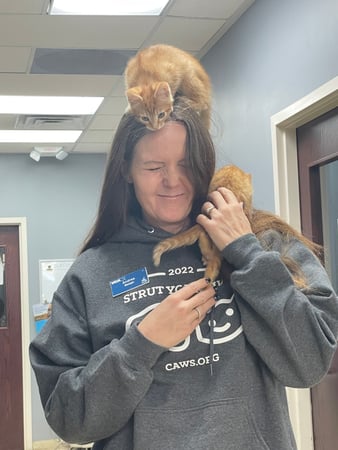 Images VCA All Pet Animal Hospital/Taylorsville