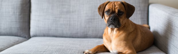 Images Lowcountry Citrus Solution