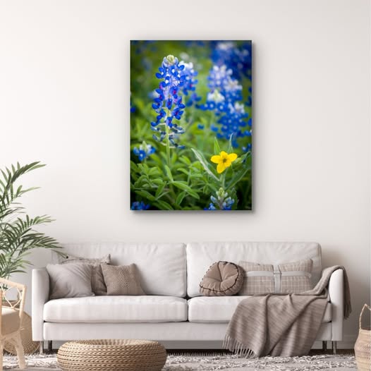 Images Terry Blackburn Fineart
