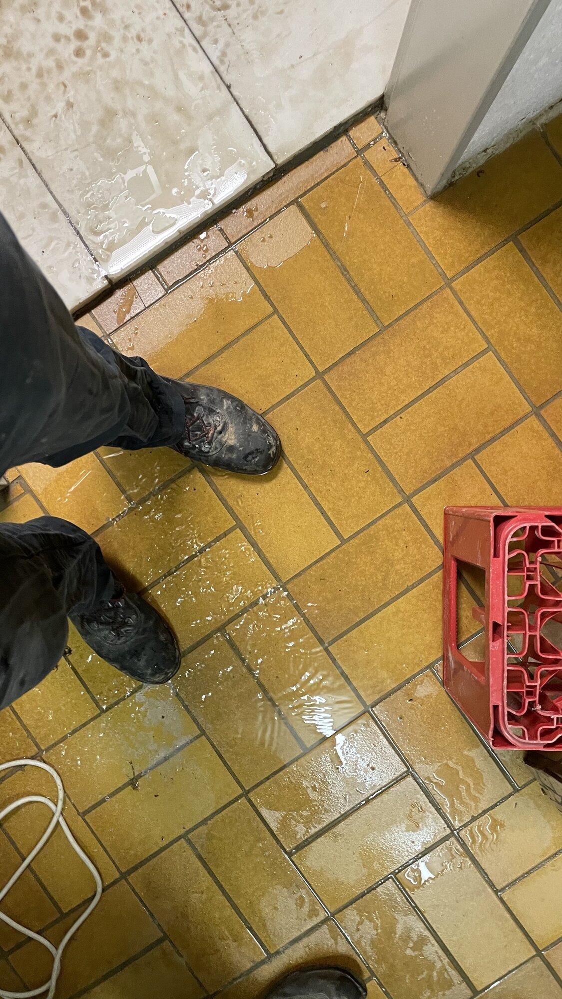 Bilder MK Trocknungsservice