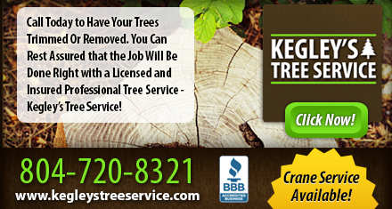 Images Kegley's Tree Service