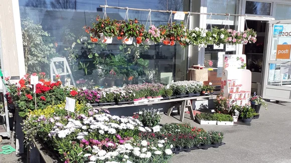 Images Korsnäs Blomster- och Begravningstjänst