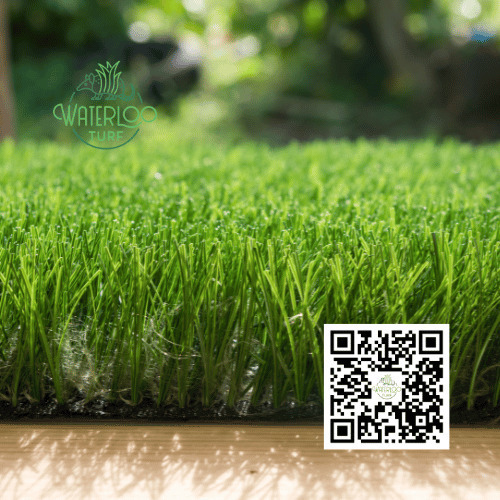 Images Waterloo Turf Austin