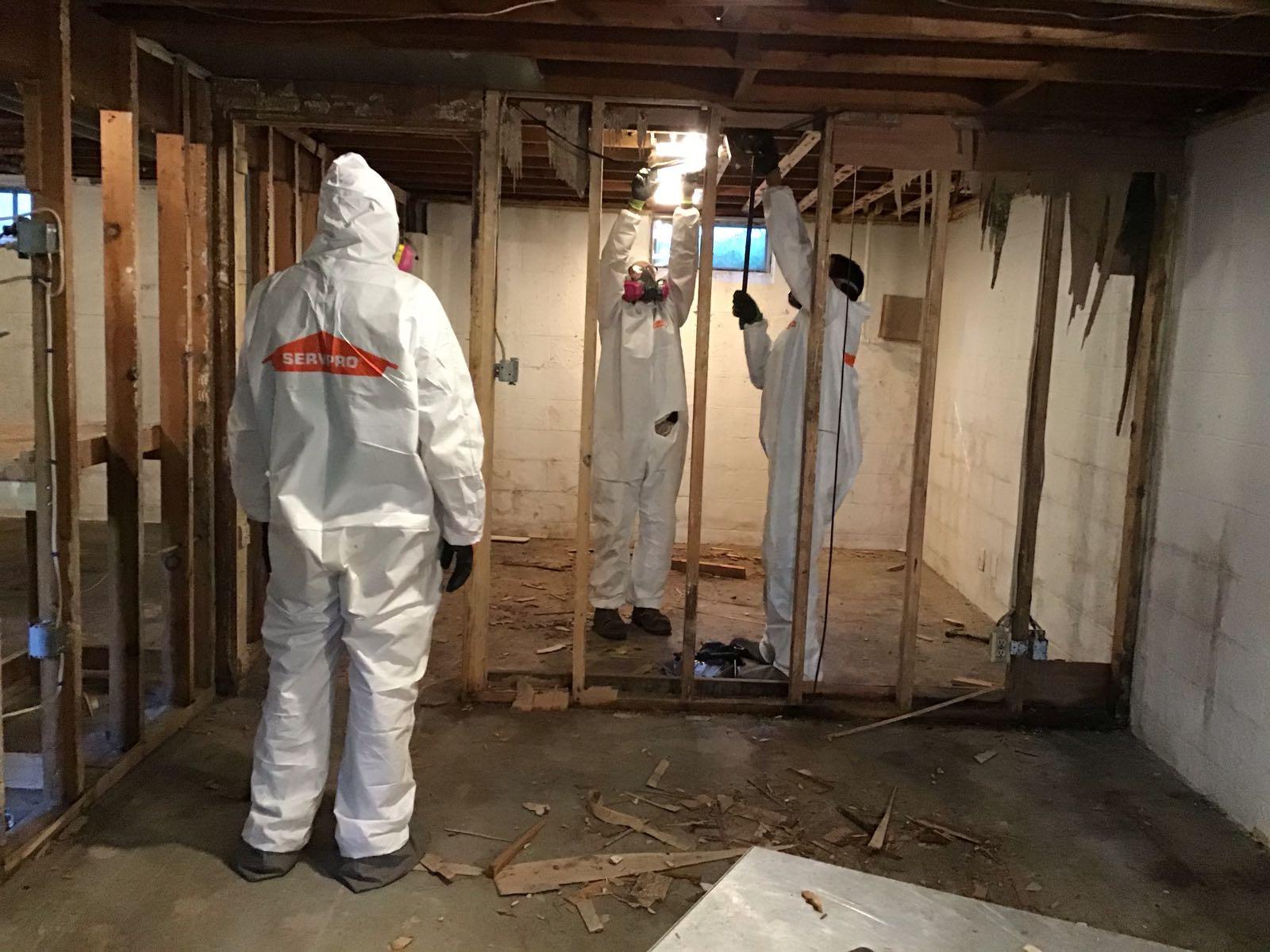 SERVPRO crews wearing Tyvek PPE to perform mold remediation at a home in Akron, Ohio.