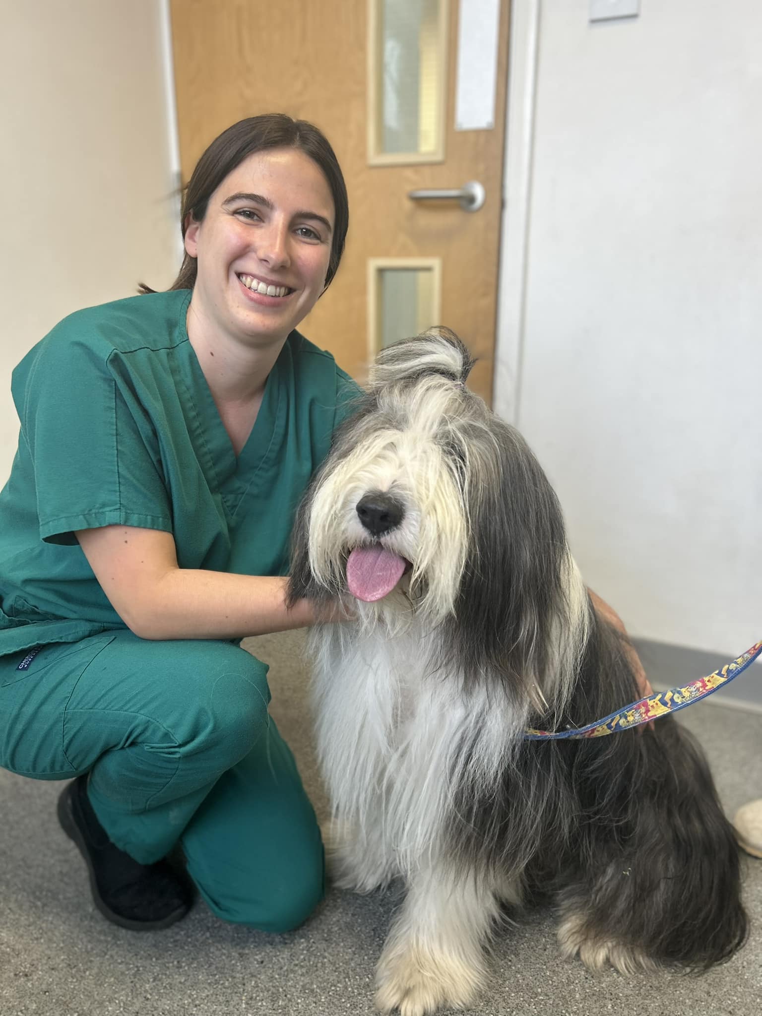 Images Streatham Hill Veterinary Surgery