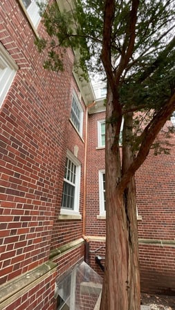 Images Waddle Exteriors Roofing - Story City