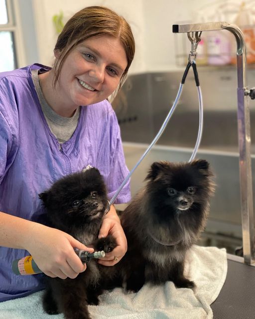 Images San Diego Grooming Academy