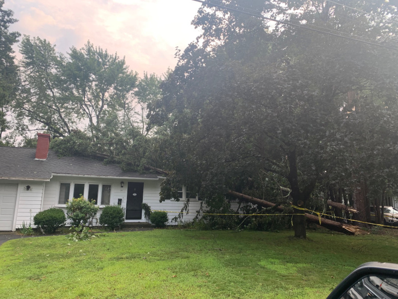 Emergency Storm Damage and Tree Service in Chelmsford, MA.

The crew and crane from Martel Crane Service & Tree Removal safely removed this downed tree from the roof of this property in Chelmsford, MA.