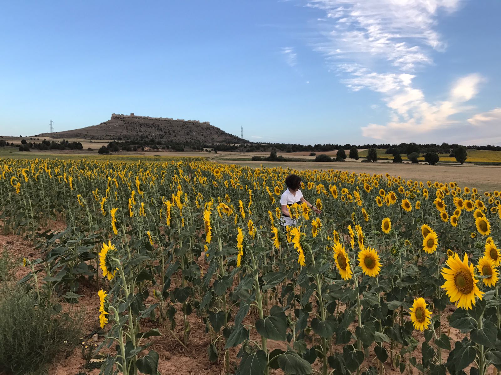 Images Casa Rural Calle Real
