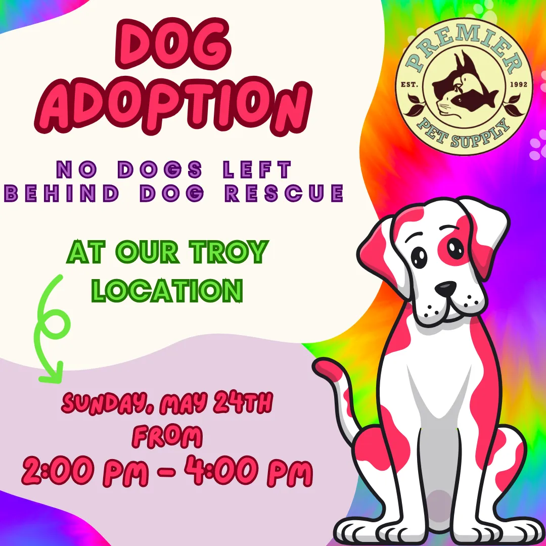 Image of Local Pet Event NO DOGS LEFT BEHIND ADOPTION EVENT | TROY Nearby