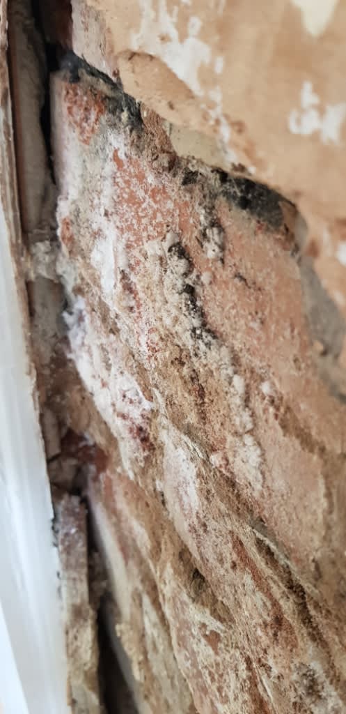 Paul Newman Damp Proofing Lincoln 07415 666604