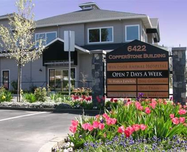 Images VCA Windsor Animal Hospital