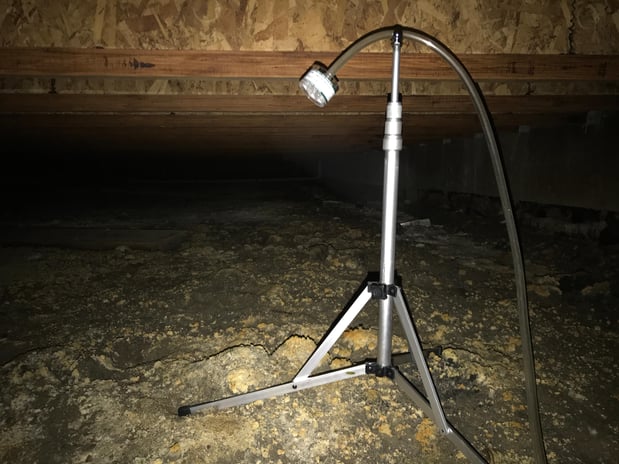 Images Rex Environmental