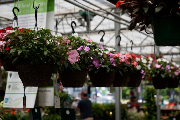 Images Mahoney's Garden Center