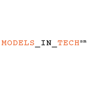 Models In Tech