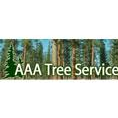 Tree Service in CO Colorado Springs 80905 AAA Tree Service 617 W Cucharras St (719)287-8733