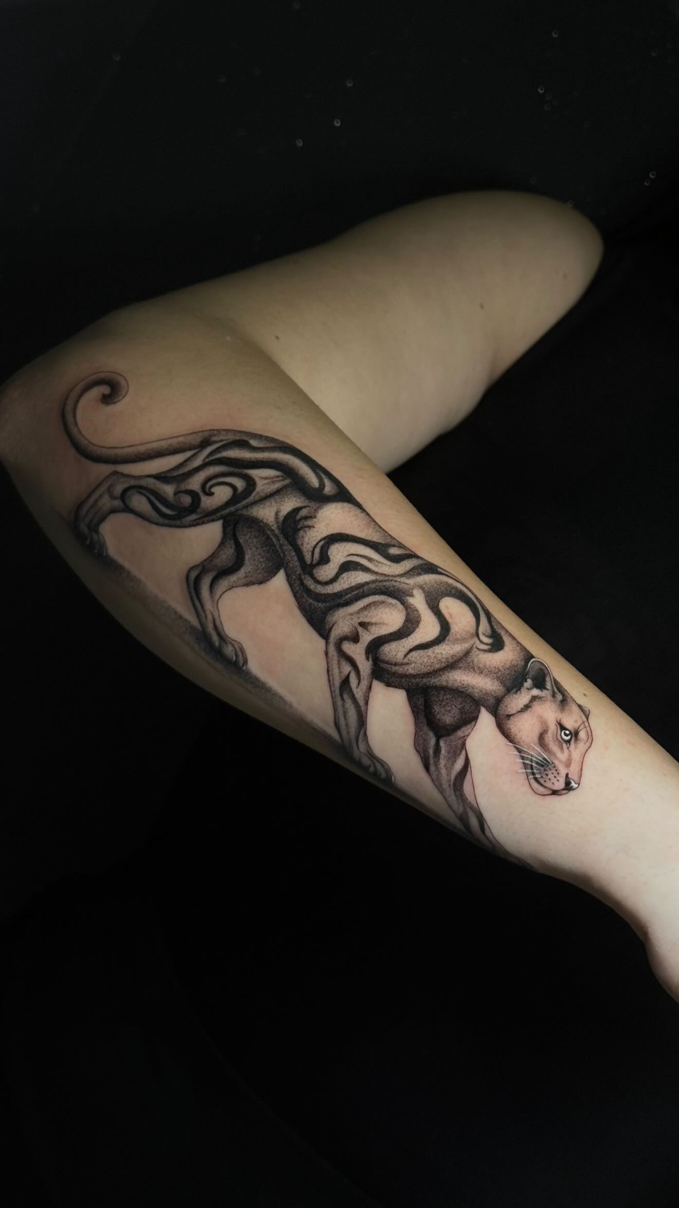 Wild Tattoo Fantasy, Eschersheimer Landstraße 539 in Frankfurt am Main