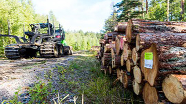 Images Skogssällskapet