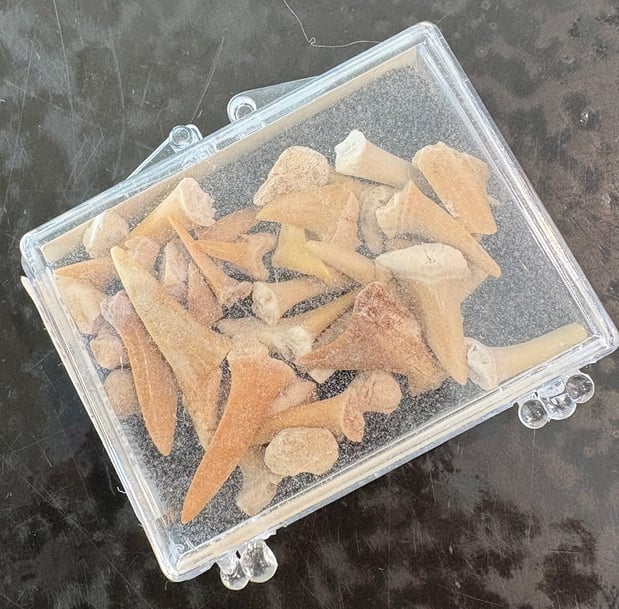 Images Awful Arthur's Beach Shop