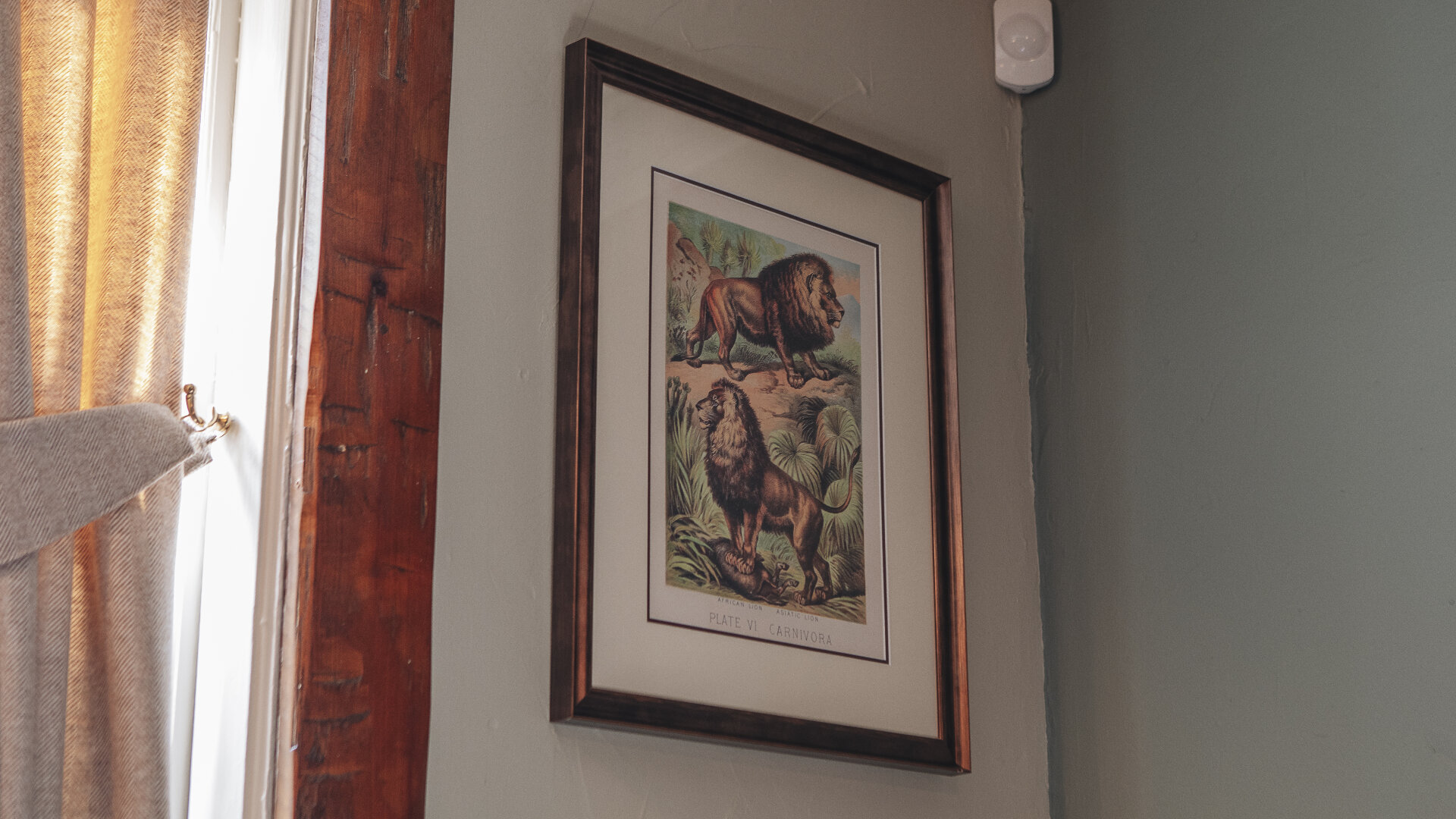 Images Black Lion Hotel