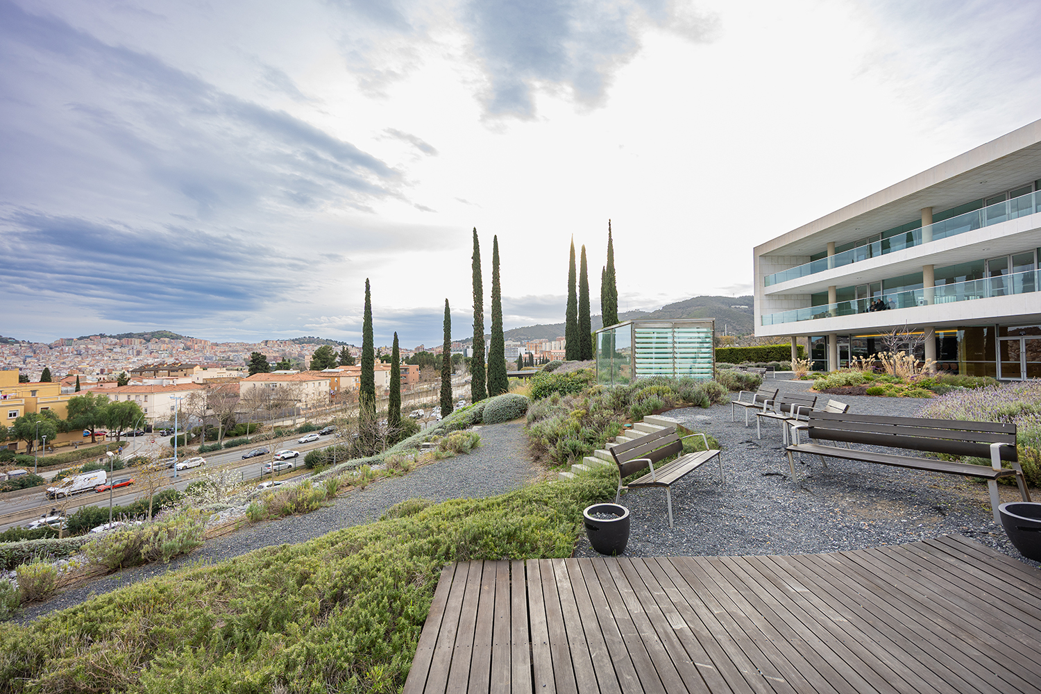 Galería de imágenes