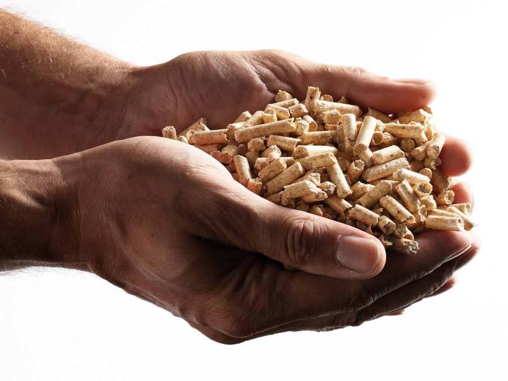 Bild 1 von RZ Pellets Sollenau GmbH - Pellets made in Austria