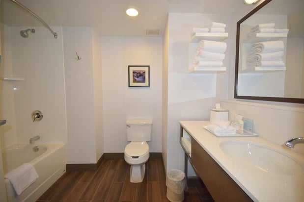 Images Hampton Inn Salem East-Electric Road