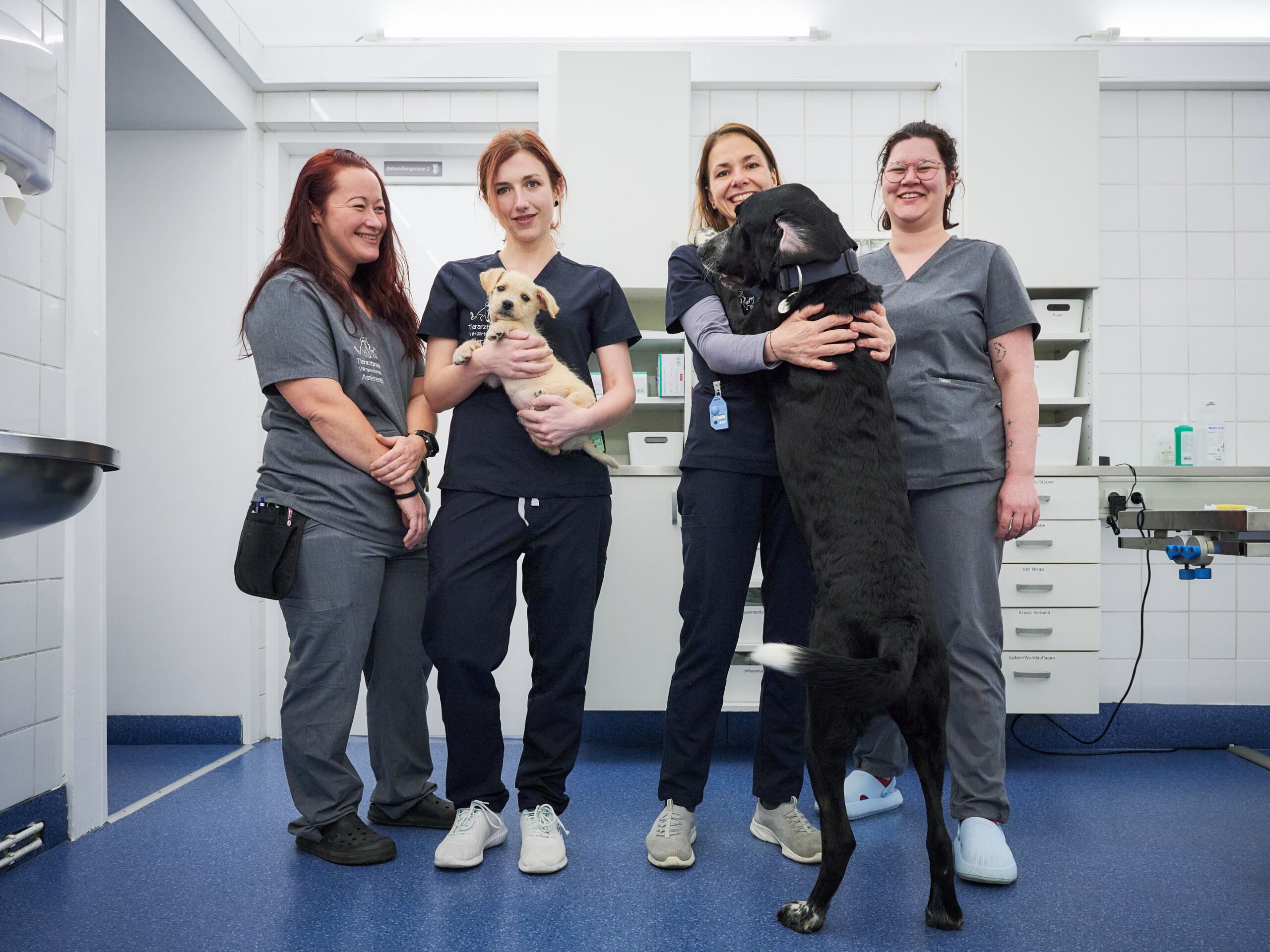 Bild 1 von Tierarztpraxis Vorgartenstraße