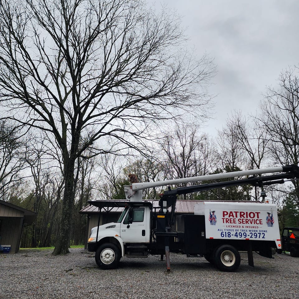 Patriot Tree Service, Inc. provides dependable emergency tree services to quickly respond to urgent situations. Whether it’s a storm-related issue or an immediate safety concern, our experienced team is available to restore order to your property. Count on us for prompt and professional assistance when you need it most.