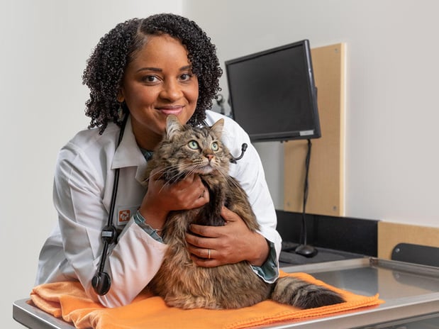 Images Banfield Pet Hospital