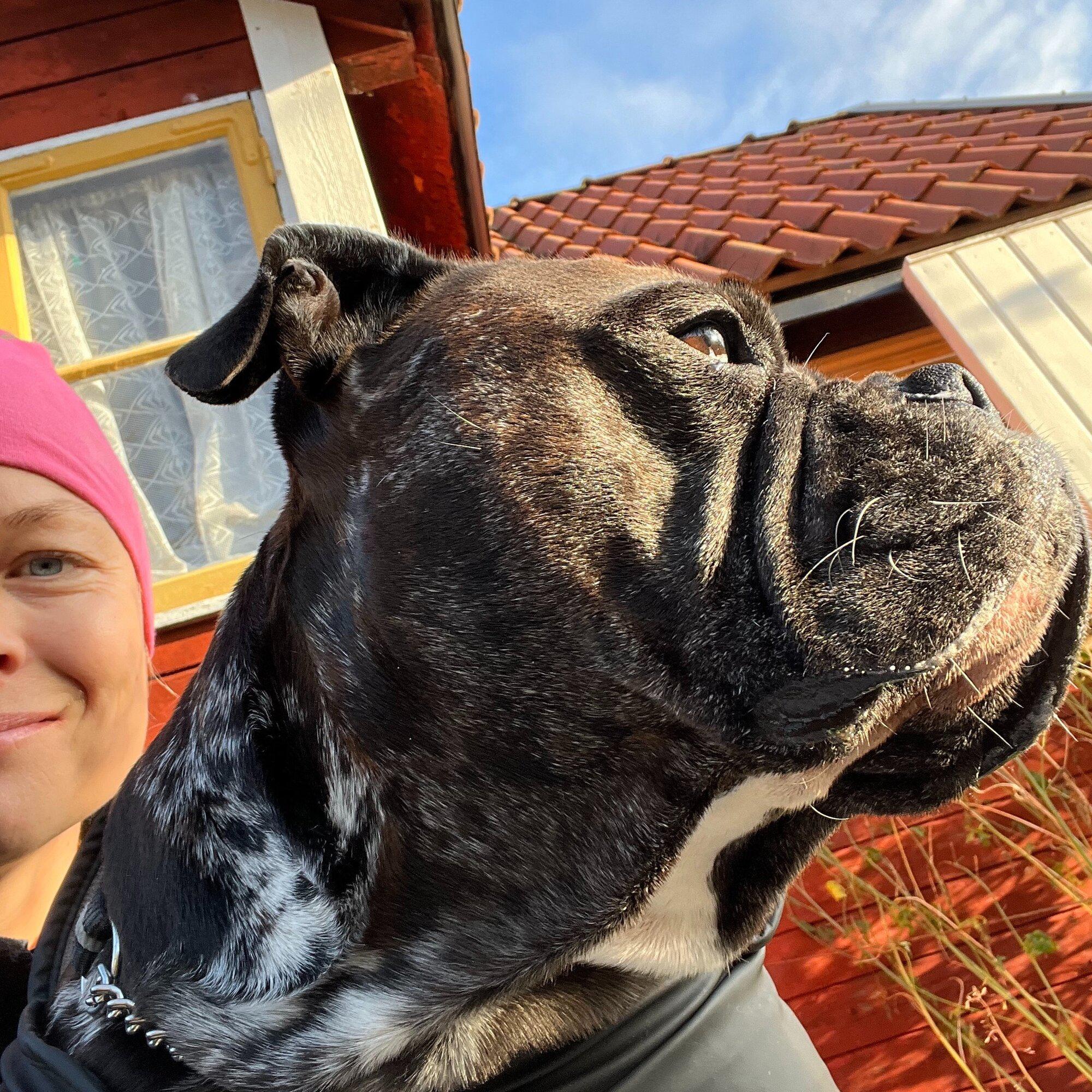 Images Queen B Trädgård- & Konsulttjänster AB