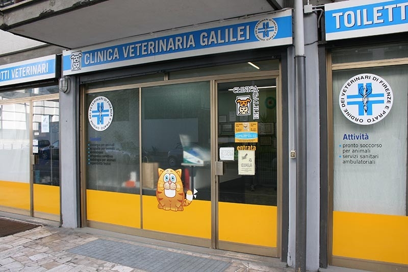 Images Clinica Veterinaria Galilei