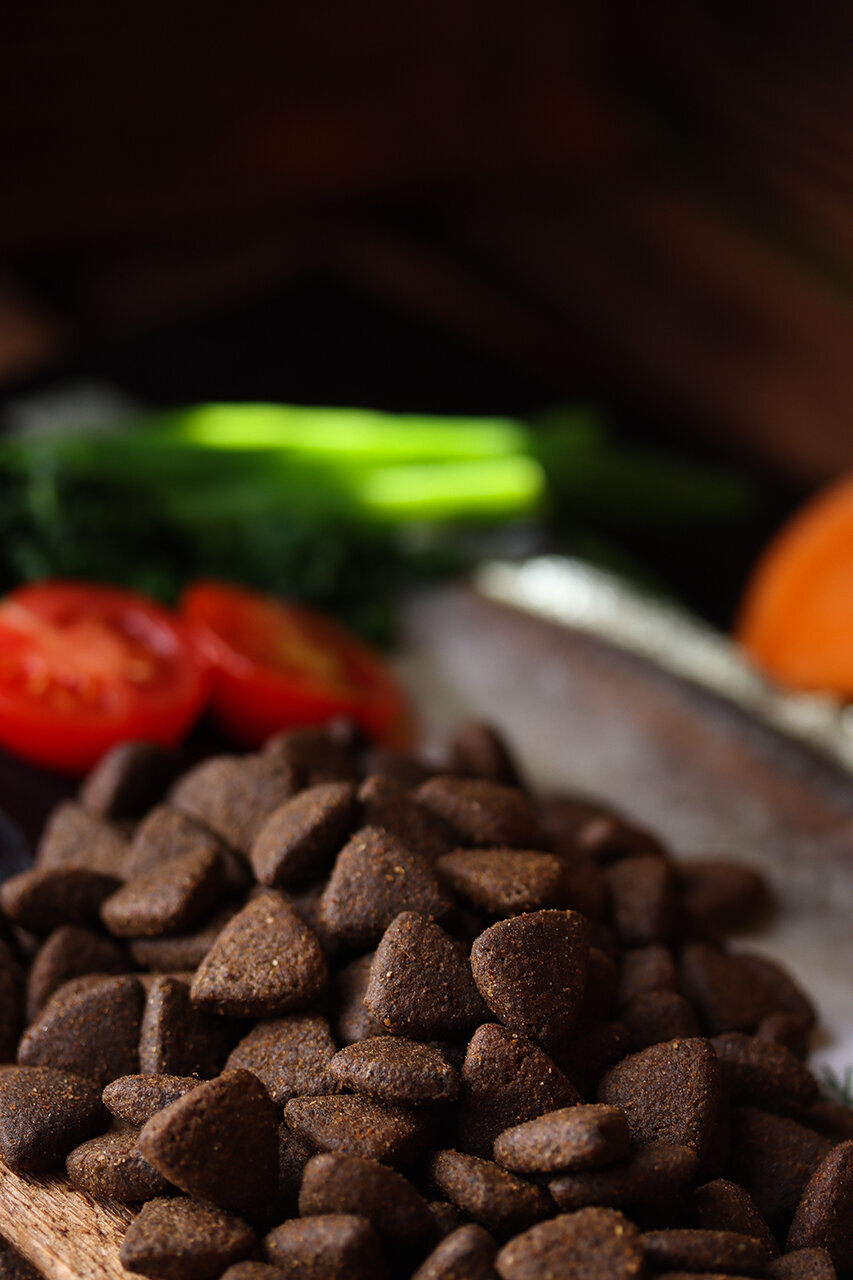 Bilder Green Pet Shop